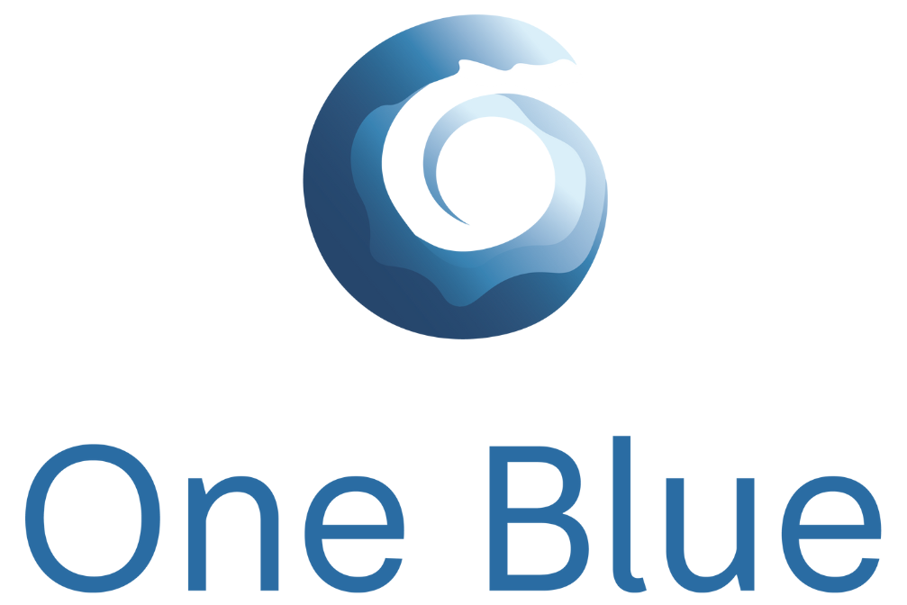 In the logo we can see the name of the project, with its color palette and a wave, symbolizing its relationship with the sea.