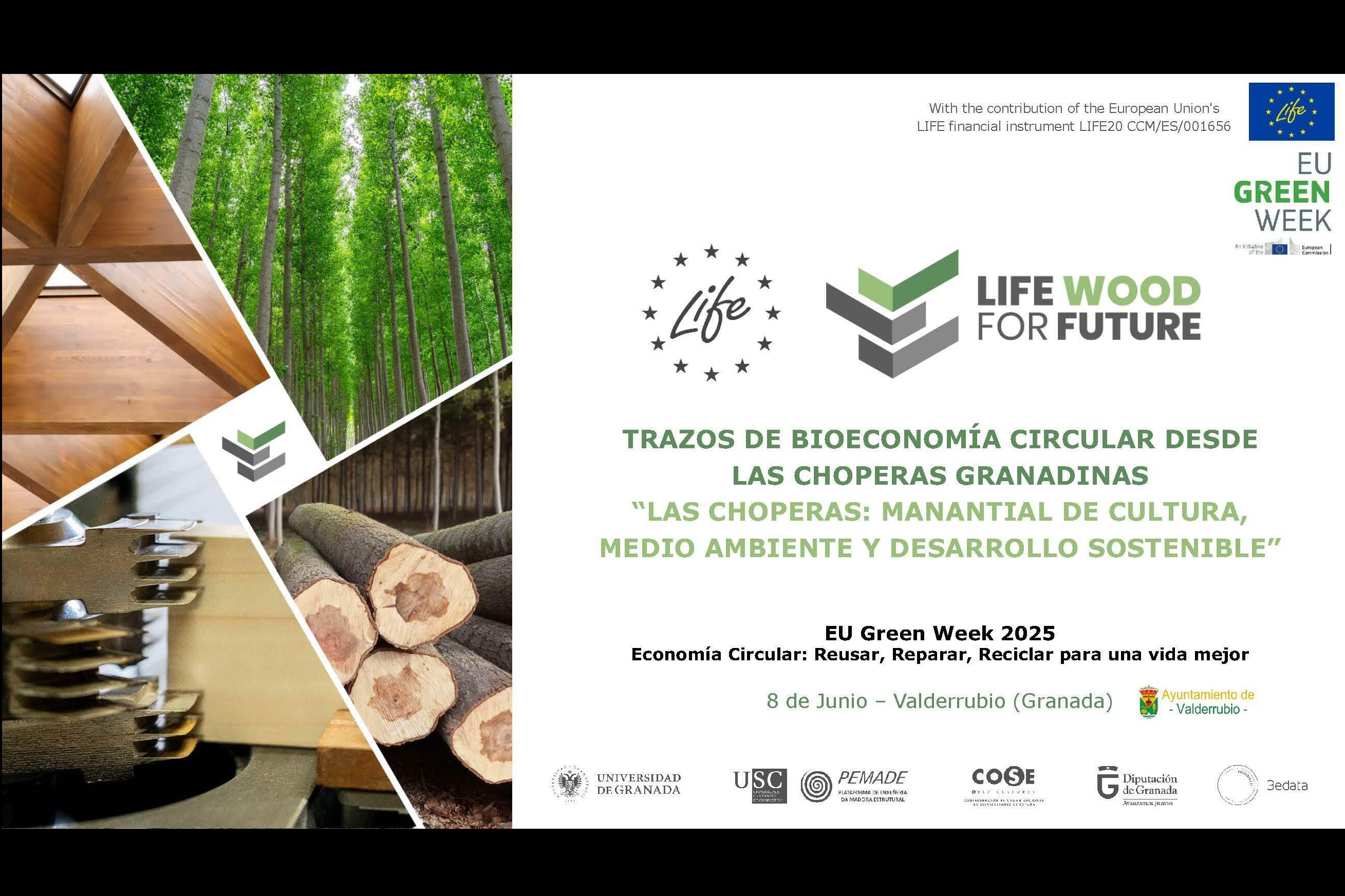 Poster of the event
