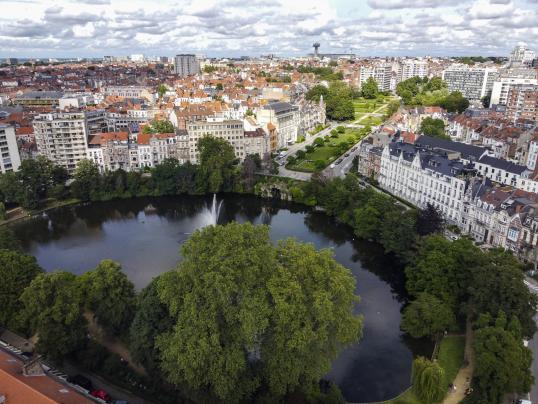 The roofs of Brussels