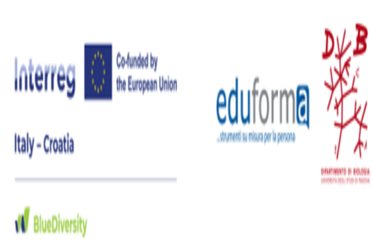 Interreg Italy Croatia BlueDiversity - Eduforma srl - Biology Department University of Padova