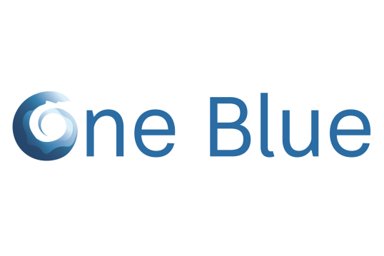 Logo of ONE BLUE project
