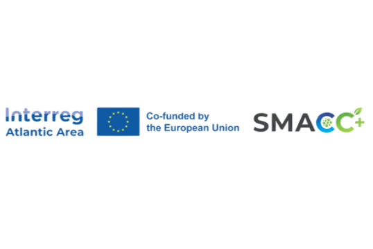 Logo of SOCIAREM + Co-Funded by the EU