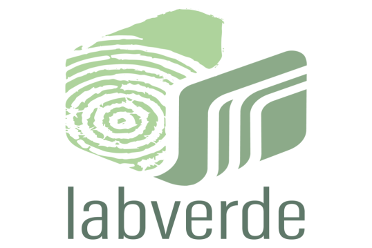LabVerde logo symbolizing the integration of nature, regeneration and innovation through forest-based solutions and sustainable development