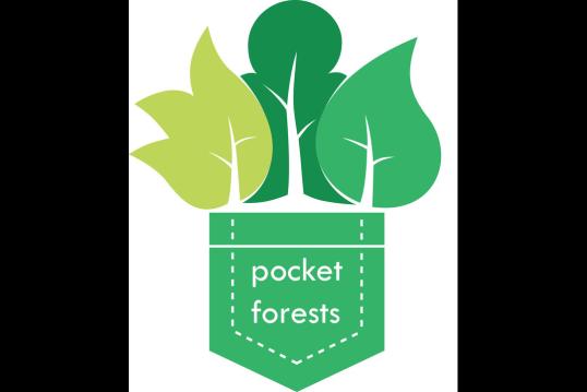 Small pocket with three trees growing out of it
