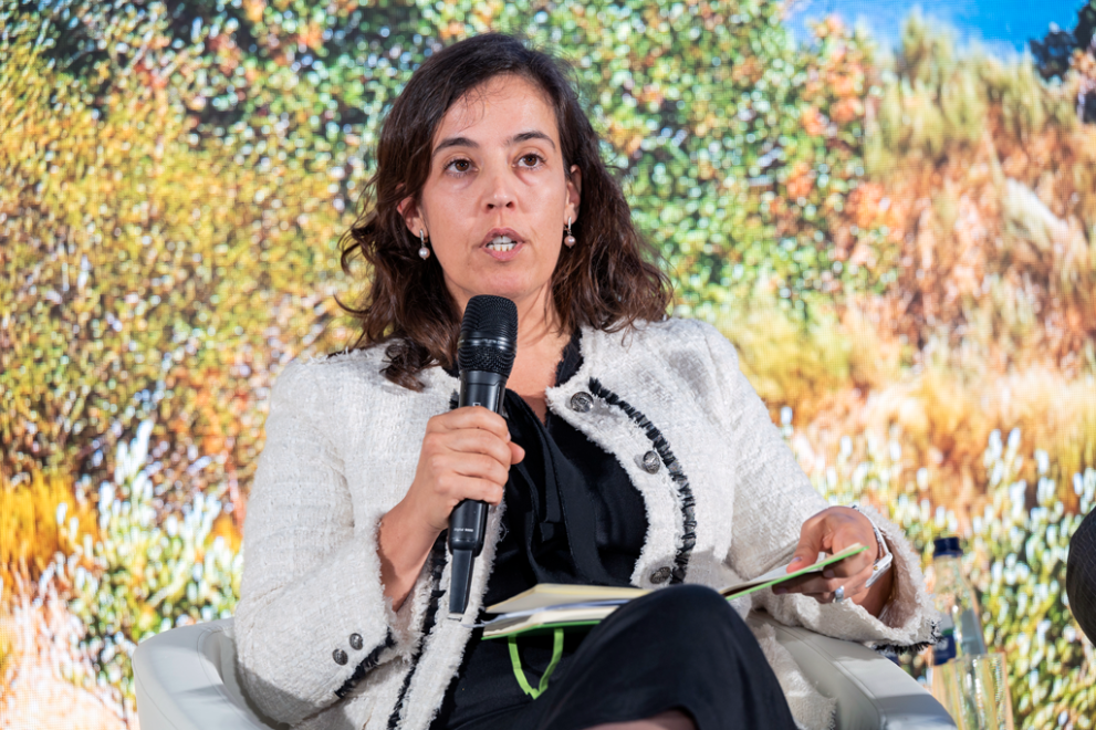 Governance and implementation: Andreia Liborio Franco, Portuguese Environment Agency, Water Resources Department, Senior Officer, Water Resources Expert 