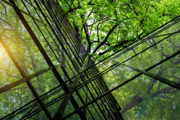 A Green Eco Building