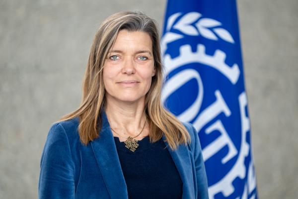 Director of the International Labour Organization’s Office, EU and Benelux 